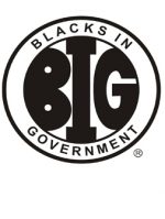 Blacks In Government